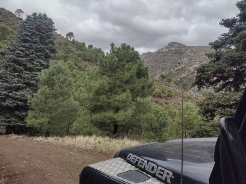 4x4 in the heart of the Sierra de las Nieves National Park - Respecting Nature and Environmental Guidelines