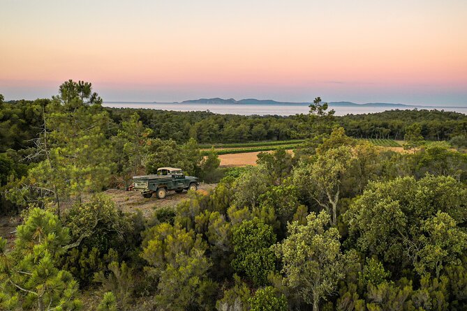 4x4 ride in a winery followed by a tasting - Tasting Experience: Wines and Provençal Snacks