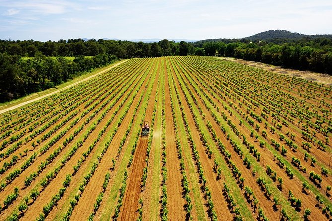 4x4 ride in a winery followed by a tasting - The Sum Up: A Scenic and Tasty Provencal Adventure