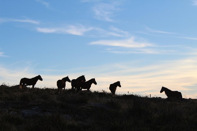 4X4 Tour - Discovering Serra d´ Arga - Visiting Serra de Santa Luzia: One of the Worlds Most Beautiful Viewpoints