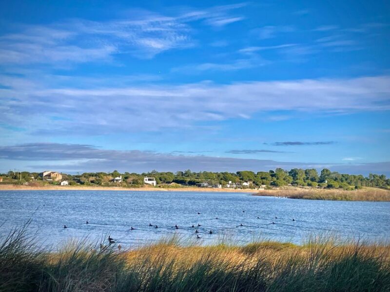 4X4 tour of the Secret Beaches of Melides - Key Points