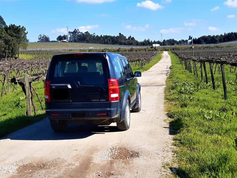 4x4 & Vinho Verde with transportation for the activity - Key Points