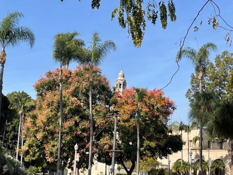 5 1/2 Hour Private Tour of San Diego in a Lexus ES300H - Discover San Diego in Style with a Private Lexus Tour