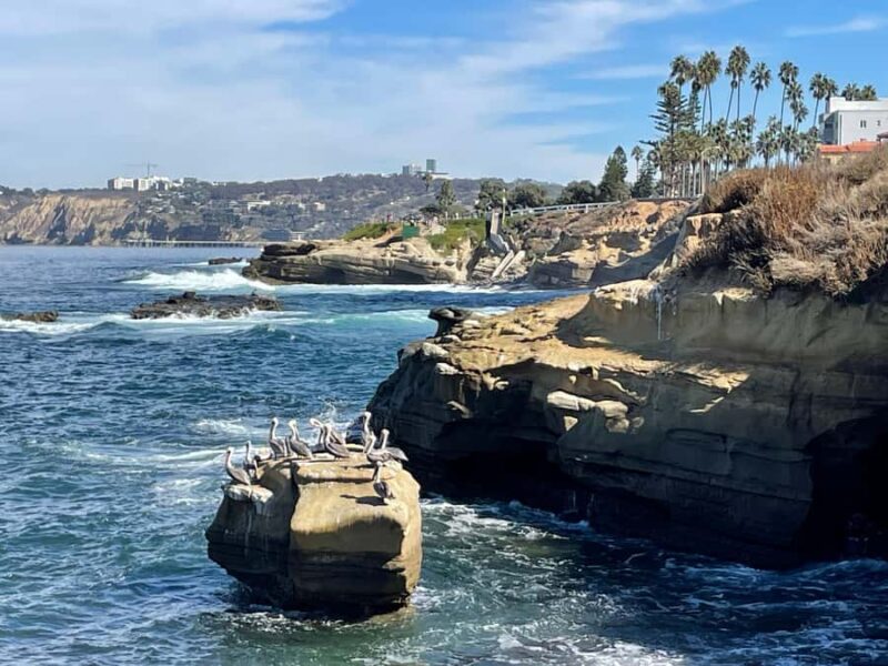 5 1/2 Hour Private Tour of San Diego in a Lexus ES300H - Sunset Cliffs for Dramatic Coastal Views