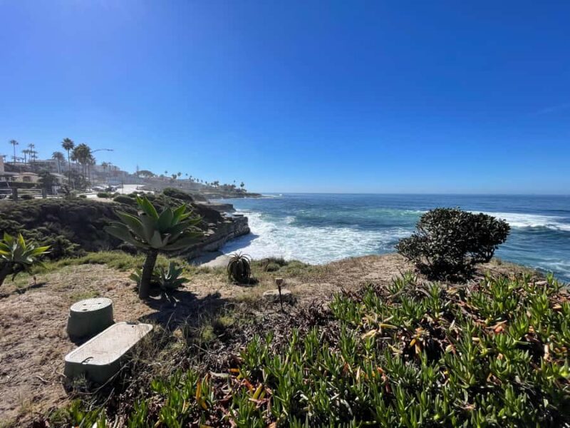 5 1/2 Hour Private Tour of San Diego in a Lexus ES300H - Flexibility and Ease of Booking