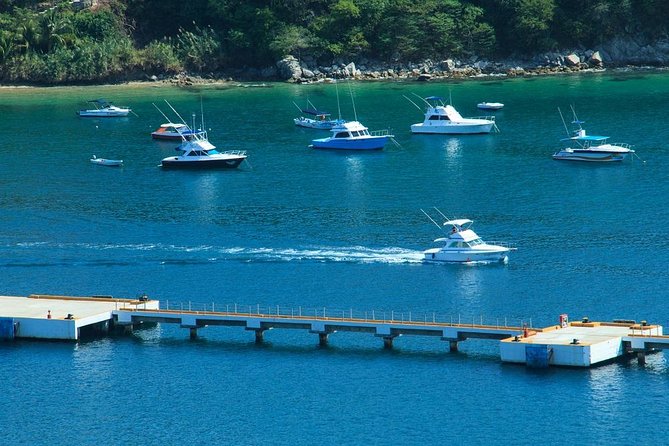 5-Bay Exclusive Premium Panga Experience - Panga Cruising and Wildlife Sightings