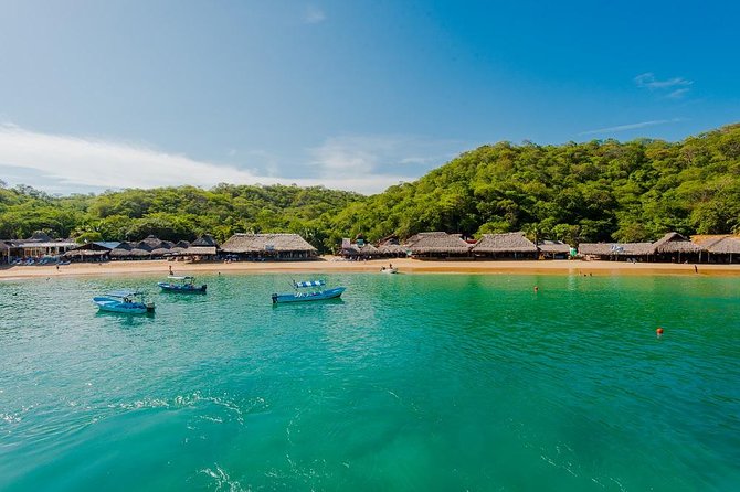 5-Bay Exclusive Premium Panga Experience - Practicalities: Transport, Group Size, and Accessibility