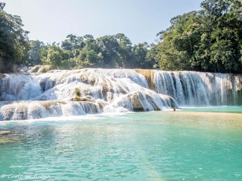 5-day, 4-night "Unforgettable Chiapas" tour (Tuxtla - Villahermosa). - Visiting the Vibrant Agua Azul Waterfalls and Misol-Ha
