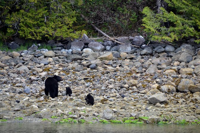 5-Day Adventure Tour in Vancouver Island Exploration - Practical Details and Group Experience