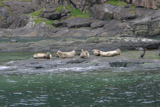 5-Day Best of Scotland Experience from Glasgow - The Isle of Skye and Key Natural Landmarks