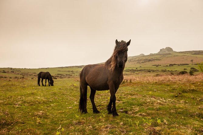 5-Day Devon and Cornwall Small-Group Tour from London - The Tour Starts in Central London at Victoria’s Green Line Coach Station