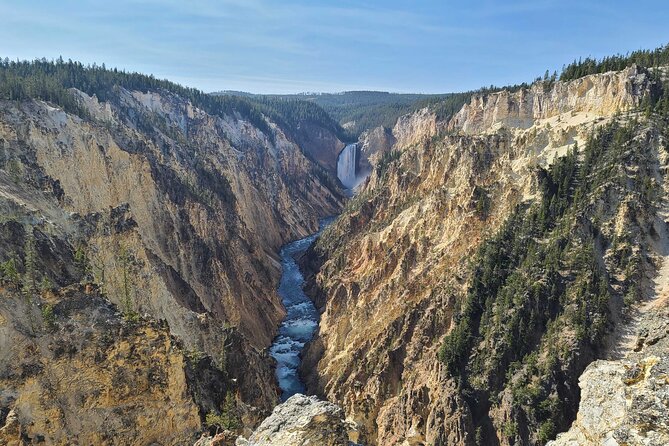 5-day In-Depth Yellowstone and Grand Teton National Park Tour - Visiting Yellowstone’s Wildlife Sanctuary: Grizzly and Wolf Center