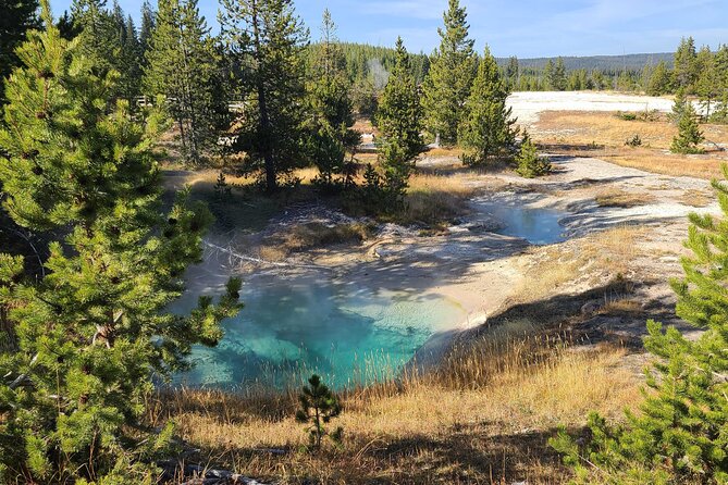 5-day In-Depth Yellowstone and Grand Teton National Park Tour - Logistics and Group Experience