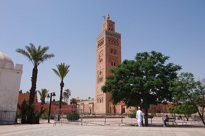 5-Day Morocco Tour: Casablanca, Marrakech, Meknes, Fez and Rabat from Malaga - Logistics, Timing, and Group Experience