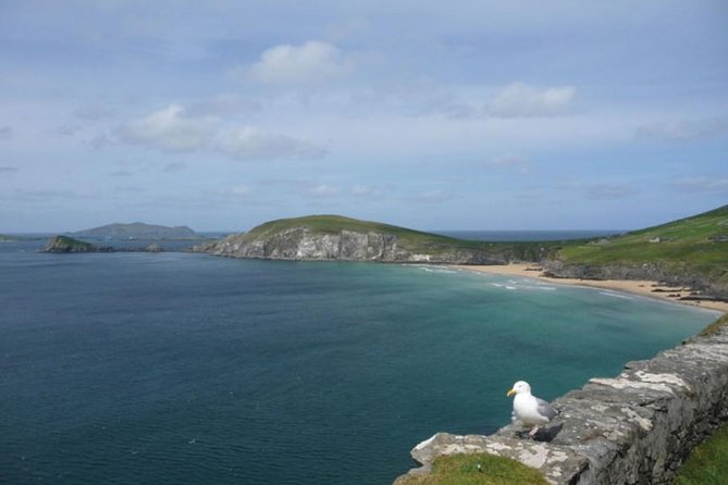 5-Day Northern Ireland and Atlantic Coast Small-Group Tour from Dublin - Discovering Derry’s Walled City