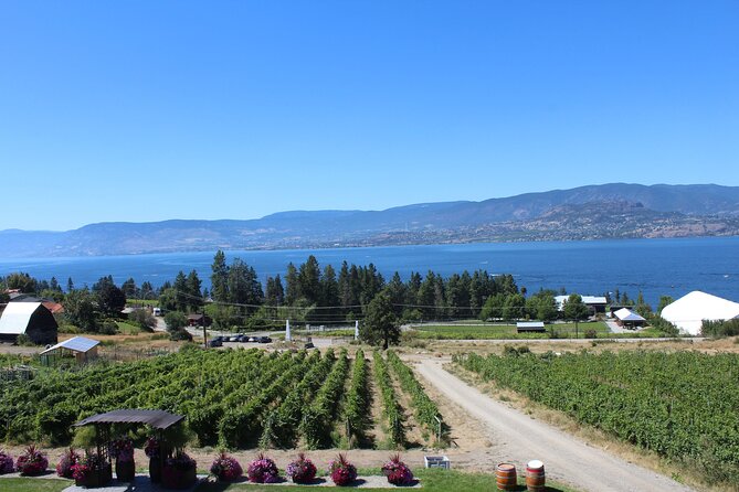 5 Day Okanagan Wine Tour by Minibus - What’s Included and What to Keep in Mind