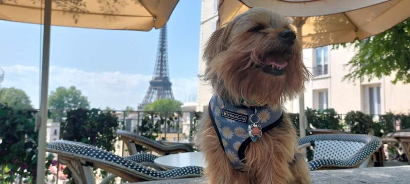 5 Days in Paris: Guided Trip (Complete Package) Shared Room - Explore the Charm of Paris with a Fully Guided 5-Day Tour