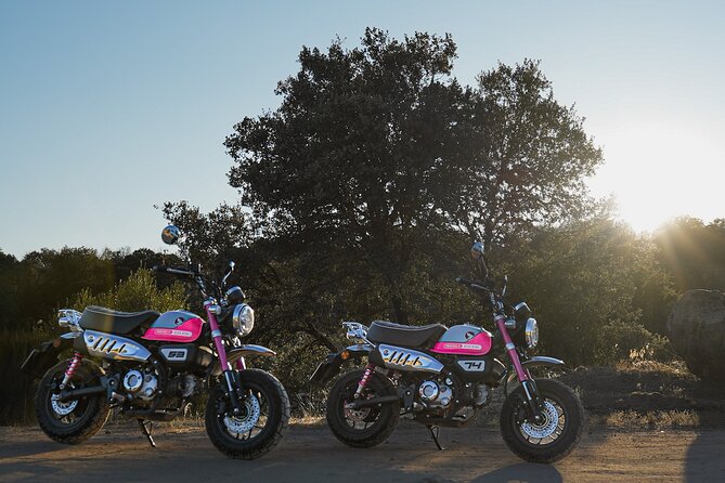 5 days Motorcycle Fun Tour in the North of Portugal - Exciting 5-Day Motorcycle Tour in Northern Portugal with PinkMyBike