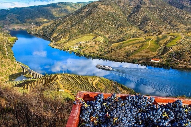 5 Days Private Tour In Portugal from Lisbon - Douro Valley and Port Wine Tasting