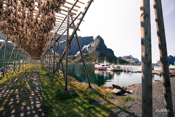 5 Highlights Of Lofoten From Svolvær - Starting Point in Svolvær with Easy Access