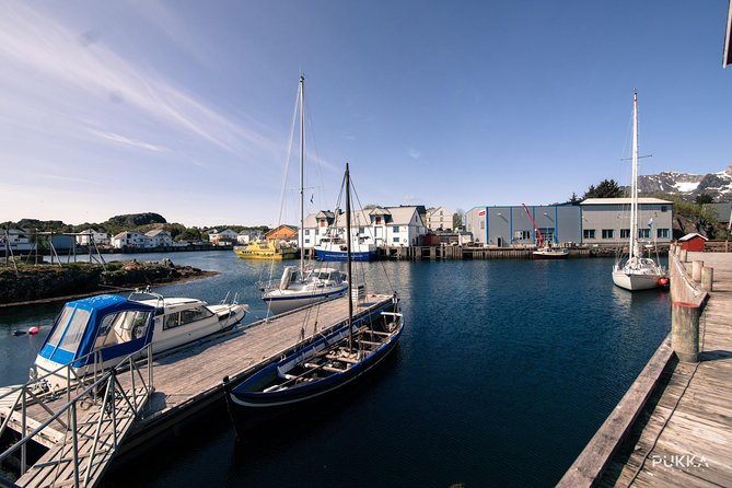 5 Highlights Of Lofoten From Svolvær - Logistics and Comfort During the Tour