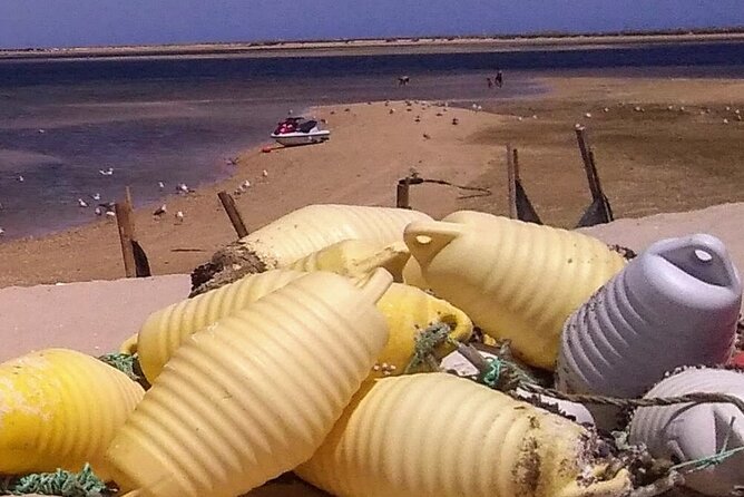 5 Hour Boat Tour in Ria Formosa - Practicalities: Meeting Points and Group Size