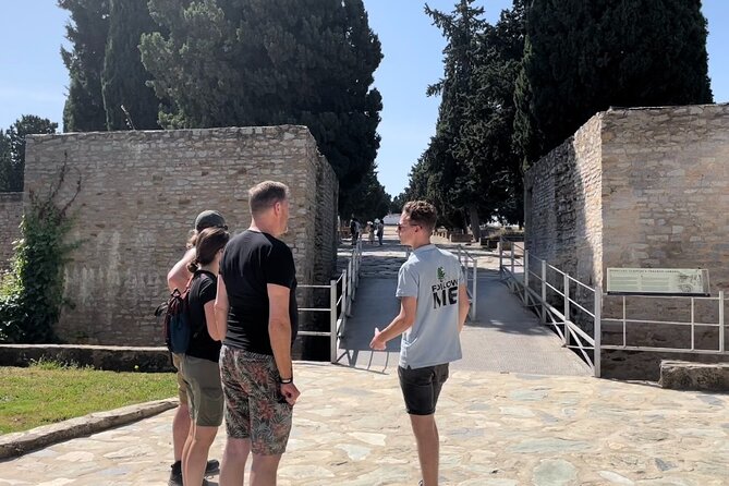 5 hour Electric Bike Tour to the Ruins of Italica - Departure Point and Tour Schedule in Seville