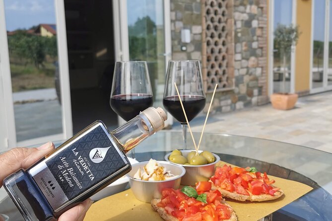 5-Hour Food and Wine Tasting in Modena - Exploring the Vinegar Factory in Castelvetro di Modena