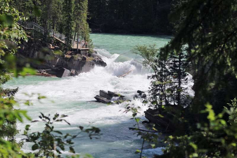 5-Hour Fraser River Rafting in Jasper National Park - Wildlife and Scenic Photography Opportunities