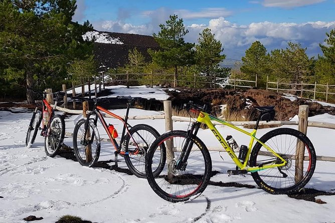 5-Hour Mount Etna Mountain Biking Tour - Starting Point at Rifugio Sapienza in Sicily