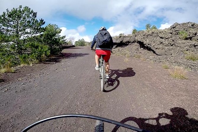 5-Hour Mount Etna Mountain Biking Tour - Exploring Lava Fields and Pine Forests on Mount Etna