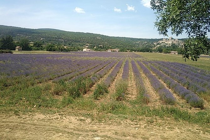 5-Hour Private Sightseeing Tour of the Provence from Marseille in Luxury Car - Key Points