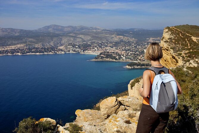 5-Hour Private Sightseeing Tour of the Provence from Marseille in Luxury Car - Exploring Aix-en-Provence: Art, Markets, and Vineyard Tasting