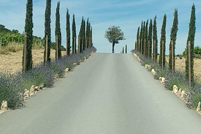 5-Hour Private Sightseeing Tour of the Provence from Marseille in Luxury Car - Practical Details and Booking Insights