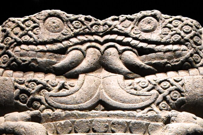 5 Hour Tour through Chapultepec, Anthropology Museum and Castle - Limitations and Considerations