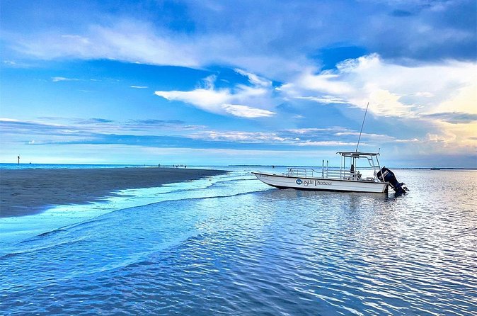 5 Hour Ultimate Lowcountry Day: Up To 6 Guests - Cost and Value for a Private Custom Experience