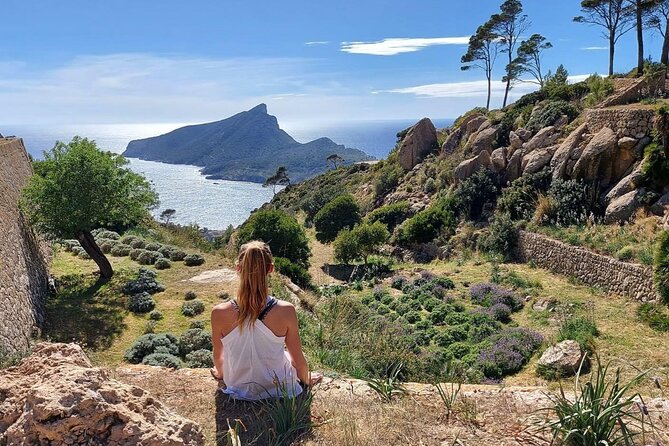 5 hours Mallorca hiking tour in Castell d Alaro - Stories and Insights from the Guides