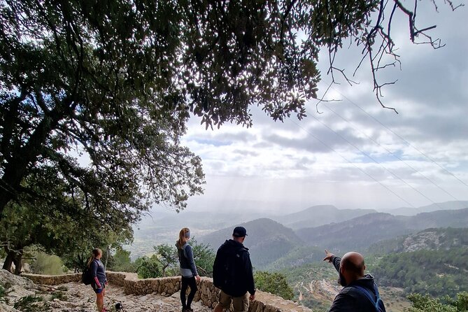 5 hours Mallorca hiking tour in Castell d Alaro - Practical Details and What’s Not Included