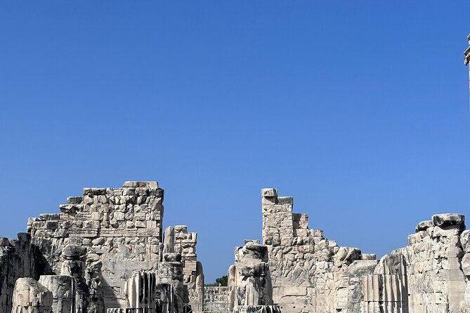 5 Hours Priene Miletos Didyma Customizable Private Tour - What’s Included and What You Need to Budget For