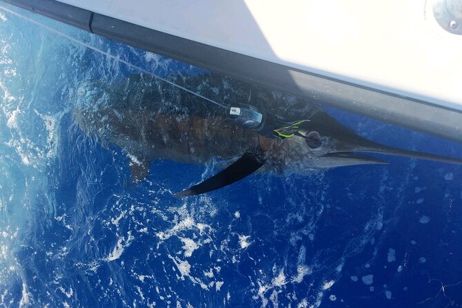 5 Hours Private Fishing Charter in Kailua-Kona - The Pacing and Expectations of the Trip