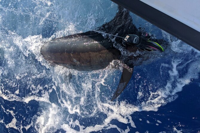 5 Hours Private Fishing Charter in Kailua-Kona - The Experience of Catching a Marlin