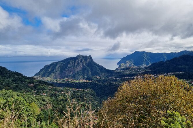 5 Hours Private Tour to Santana, Thatched houses - Discovering Santanas Traditional Thatched Houses