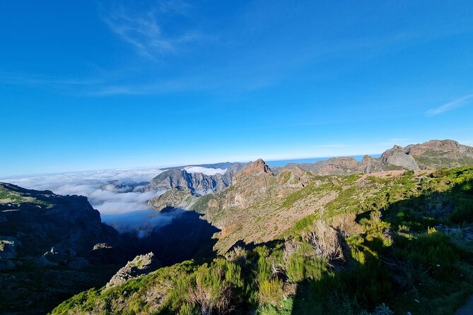 5 Hours Private Tour to Santana, Thatched houses - Practical Details: Transportation and Group Size