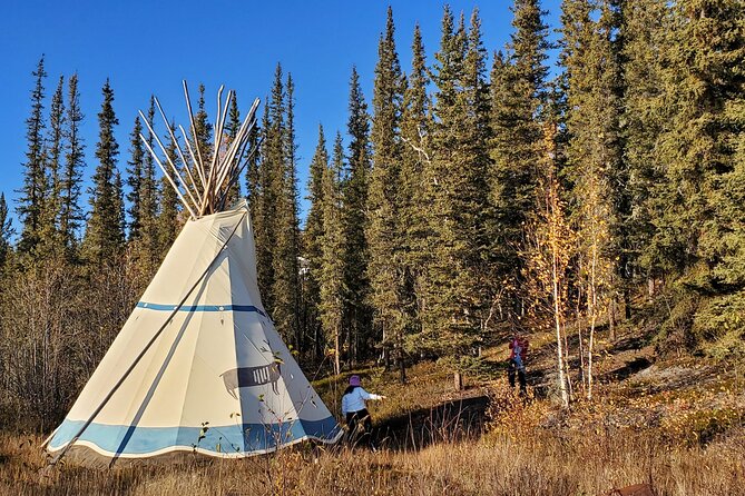 5 Hours Small Group Hike at Cameron Falls - Convenient and Comfortable Transportation