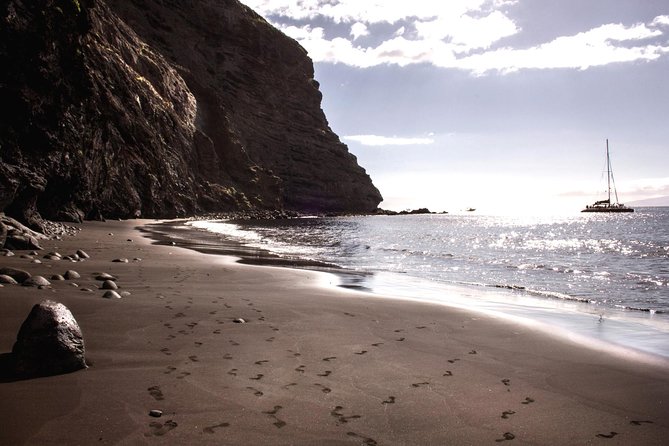 5 hrs. Watching and listening whales and dolphins visiting Los Gigantes - Practical Details and Booking Tips