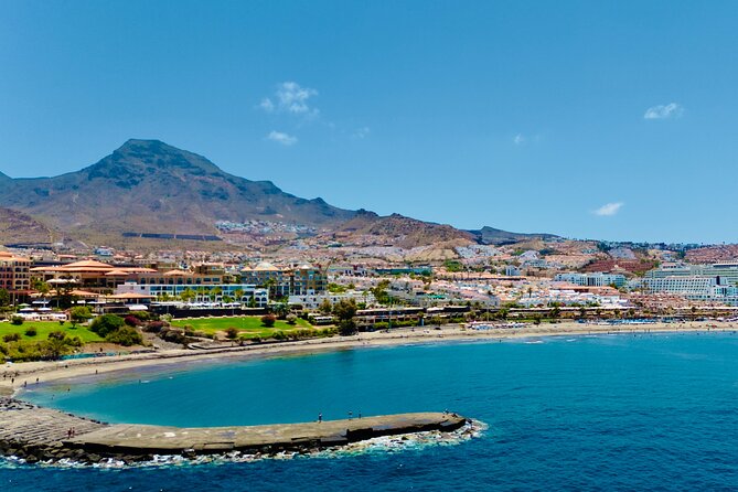 5 hrs. Watching and listening whales and dolphins visiting Los Gigantes - The Sum Up: A Scenic and Wildlife-Focused Day at Sea