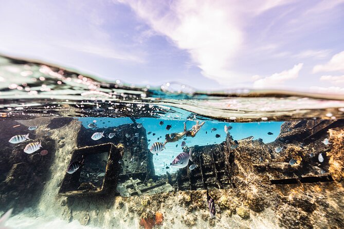 5-in-1 Cancun Snorkeling Tour with Sea Life & Transport Included - Practical Details and Included Amenities