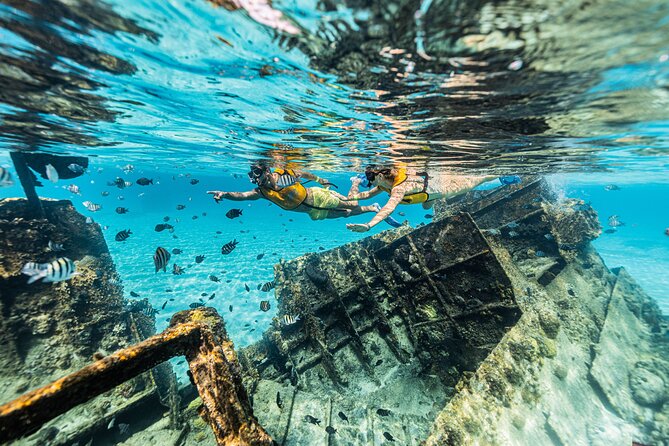 5-in-1 Cancun Snorkeling Tour with Sea Life & Transport Included - Pacing, Group Size, and Overall Experience