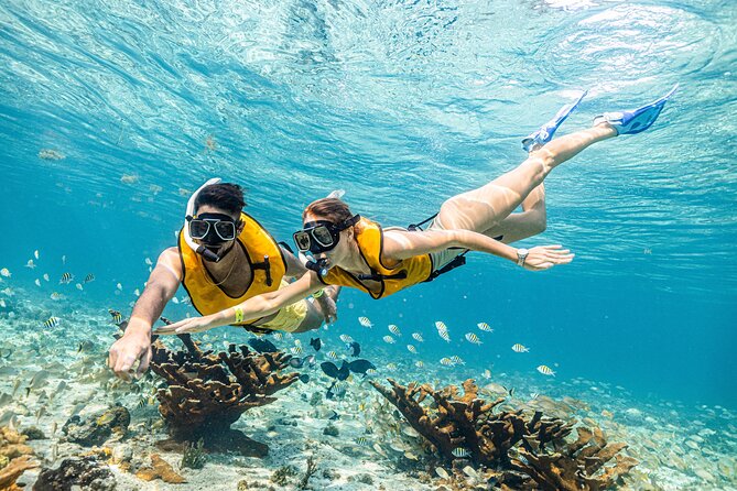 5-in-1 Cancun Snorkeling Tour with Sea Life & Transport Included - Who Will Enjoy This Cancun Snorkeling Tour?