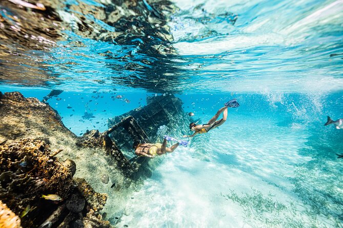 5-in-1 Cancun Snorkeling: Turtles, Reef, Musa, Shipwreck, Cenote - What’s Included and What to Budget for